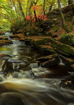 भीड़,
ऋतु सिंह 