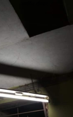 समर्पित रविवार...!