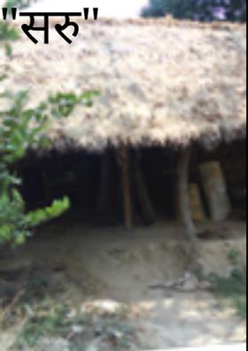 "सिबौ सिब सरु"