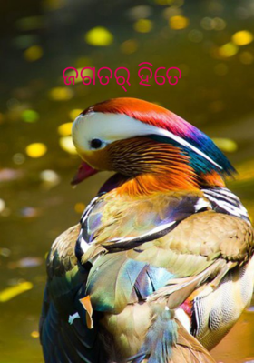 ଜଗତର୍ ହିତେ