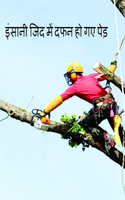 इंसानी ज़िद में दफ़न हो गए पेड़