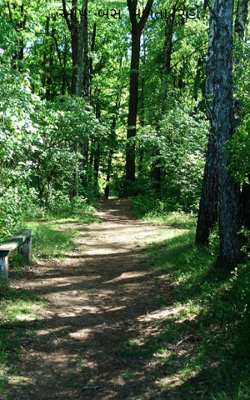 આપ બસ મળતા રહો