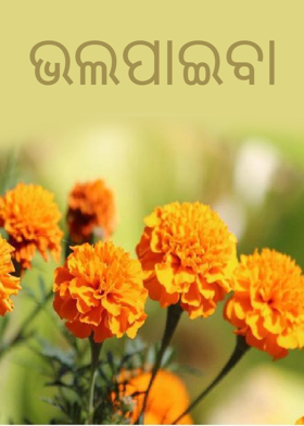 ଭଲପାଇବା