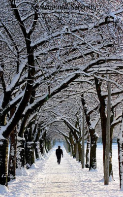 Snowbound Serenity