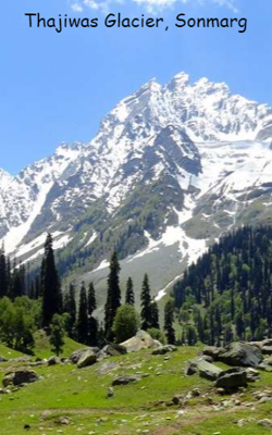 Thajiwas Glacier, Sonmarg