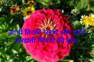 आड़ी तिरछी रेखाएं और उनमें उलझती जिंदगी की डोर।