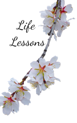 Life Lessons