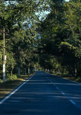 অরণ্যের নরখাদক