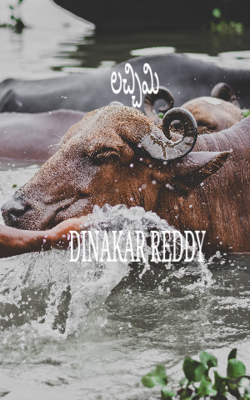 లచ్చిమి