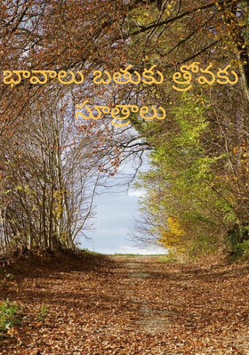 భావాలు బతుకు త్రోవకు సూత్రాలు
