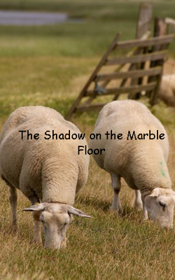 The Shadow on the Marble Floor