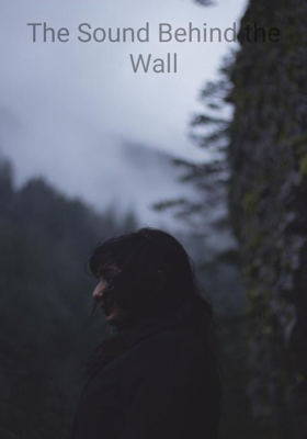 The Sound Behind the Wall