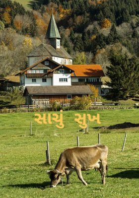 સાચું સુખ