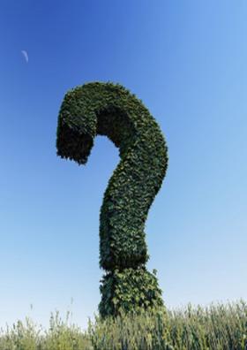 धनी तिरस्काराचे ( चारोळी )