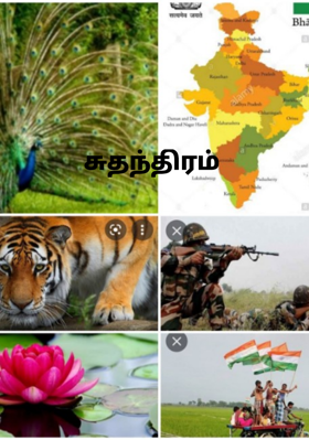 சுதந்திரம்