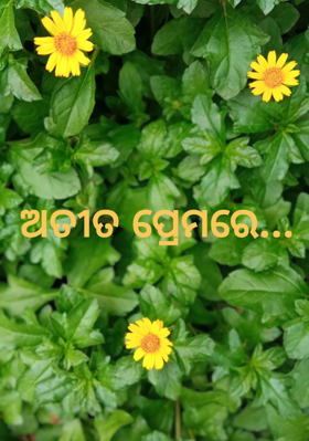 ଅତୀତ ପ୍ରେମରେ