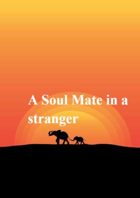 A Soul Mate in a Stranger