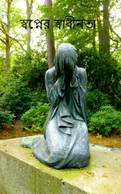 স্বপ্নের স্বাধীনতা