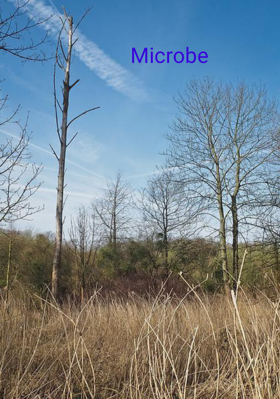 Microbe