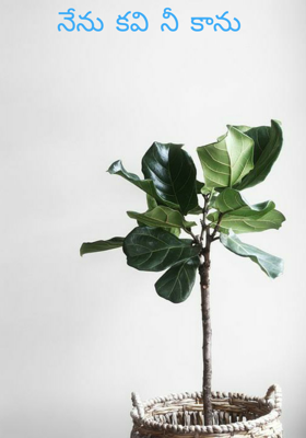 నేను కవి నీ కాను