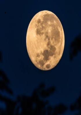 26મી ડિસેમ્બર