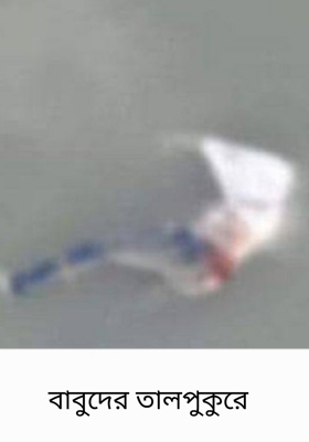 বাবুদের তালপুকুরে