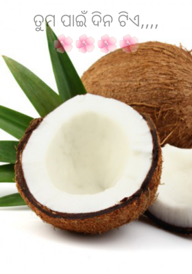 ତୁମ ପାଇଁ ଦିନ ଟିଏ