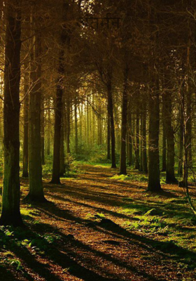 अंतर्मन