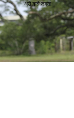 असे कसे जगता