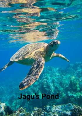 Jagu's Pond