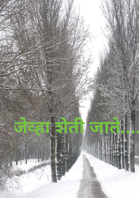 जेव्हा शेती जाते....