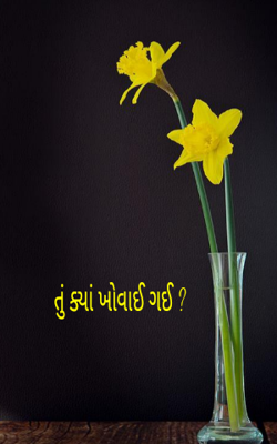 તું ક્યાં ખોવાઈ ગઈ ?