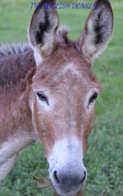 The Foolish Donkey