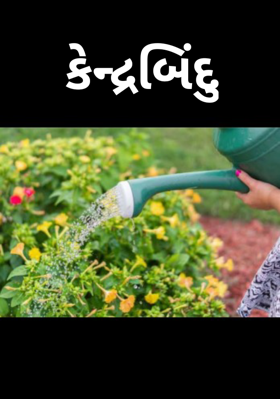 કેન્દ્રબિંદુ