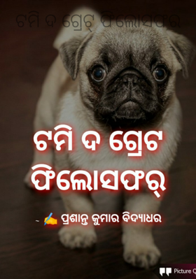 ଟମି ଦ ଗ୍ରେଟ୍ ଫିଲୋସଫର