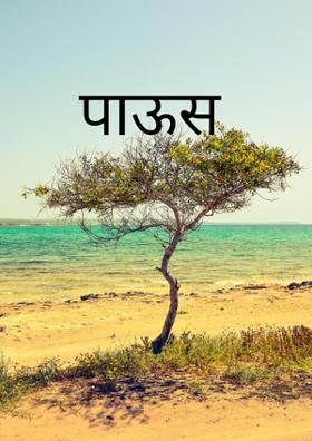 पाऊस