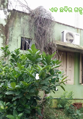 ଏକ ଛବିର ଗଳ୍ପ