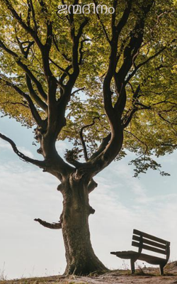 ജന്മദിനം