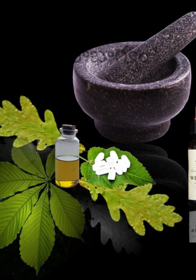 ఆరోగ్యమే మహాభాగ్యం