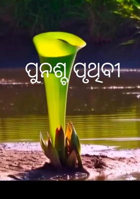 ପୁନଶ୍ଚ ପୃଥିବୀ

