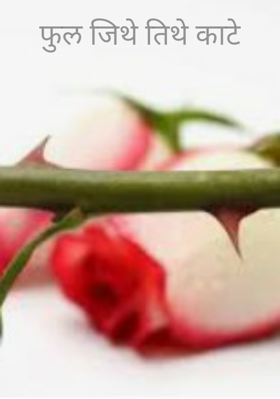 फुल जिथे तिथे काटे