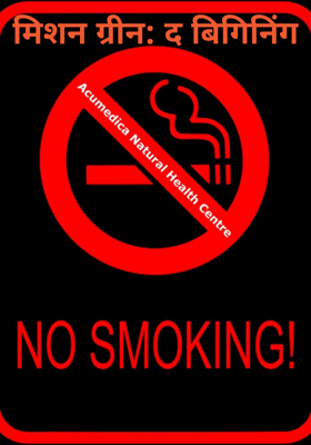 मिशन ग्रीन: द बिगिनिंग