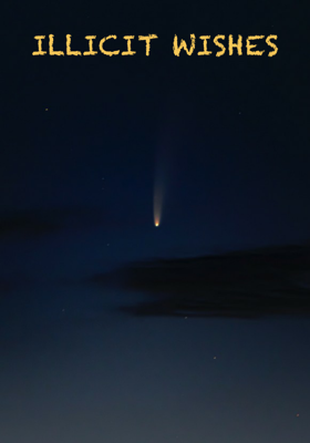 Illicit Wishes