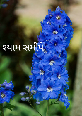 શ્યામ સમીપે