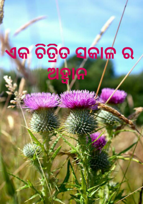 ଏକ ଚିତ୍ରିତ ସକାଳର ଅହ୍ବାନ