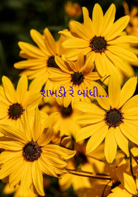 રાખડી રે બાંધી