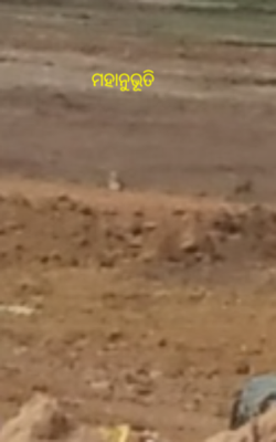 ମହାନୁଭୂତି