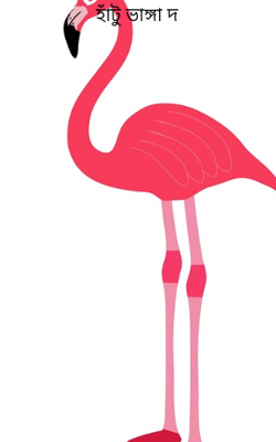 হাঁটু ভাঙ্গা দ