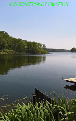 A REFLECTION OF EMOTION 