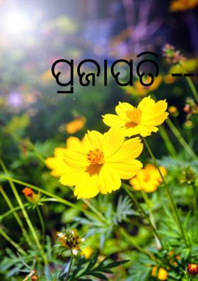 ପ୍ରଜାପତି -------